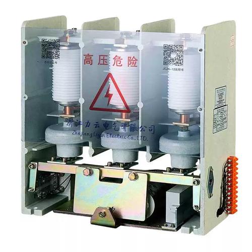 10kV高压无功补偿系统中12kV/160～630A真空投切开关的选型与应用